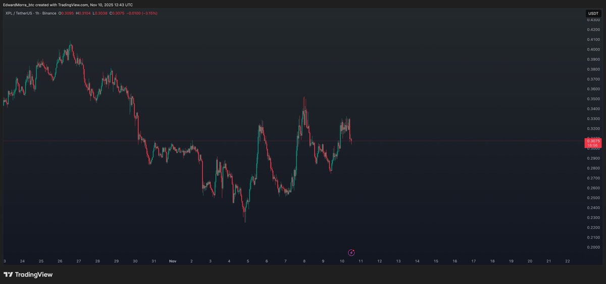 Edward Morra tweet media