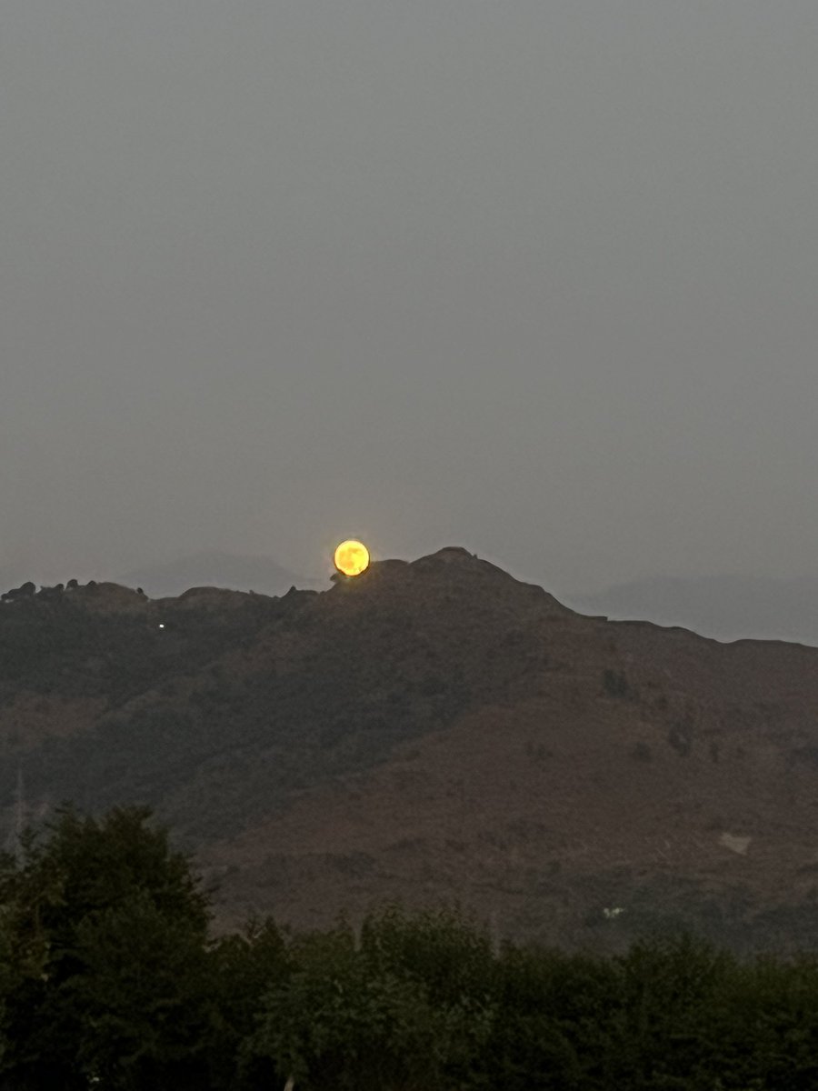 Evening 🦢🤍••••••