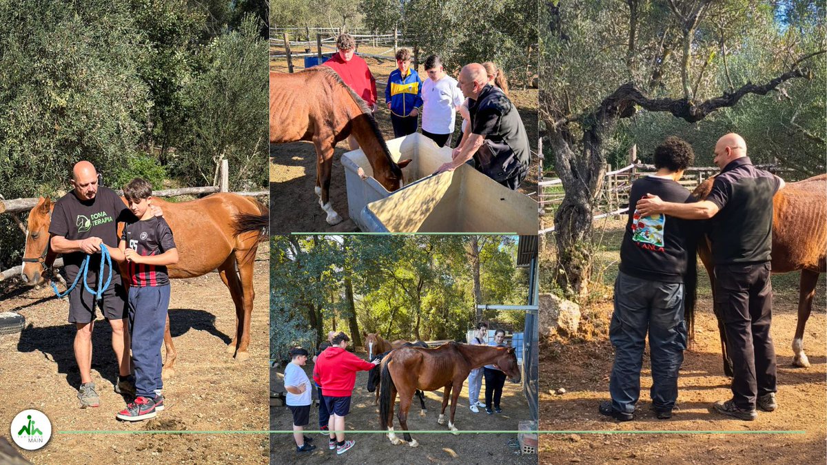 Les UEC de Fundació Main inicien el taller d'equinoteràpia i activitats en medi obert, un espai pel desenvolupament personal, el benestar emocional i l'aprenentatge en un medi natural controlat i contacte directe amb cavalls.
#FundacioMain #GenerantOportunitats