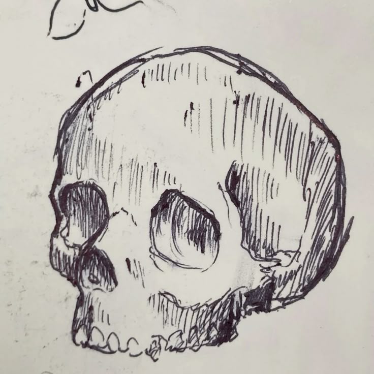 ᒪEOᑎᗩᖇᗪO tweet media