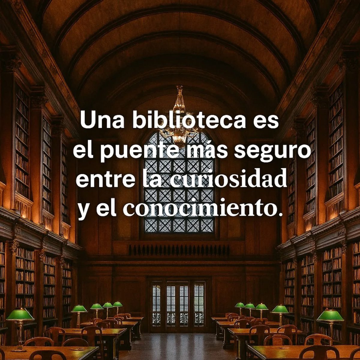 Bibliotecas Únicas (@bibliotecas2025) on Twitter photo 
