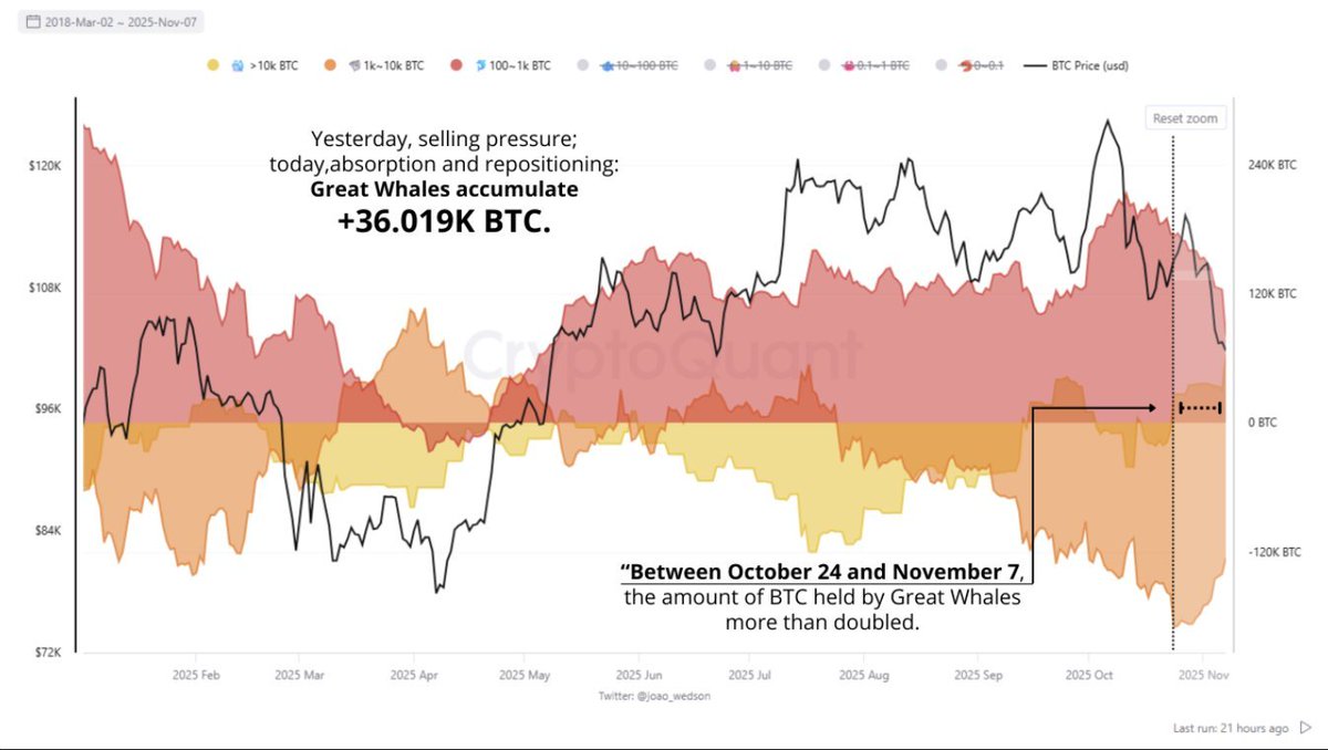 🚨 Bitcoin Whale Accumulation (Oct 24 – Nov 7, 2025) 1️⃣ 🐋 Great Whales  (>10K BTC): Holdings more than doubled: 26.87K → 62.89K BTC (+36K BTC) -  Shows strong confidence 2️⃣ 🐬