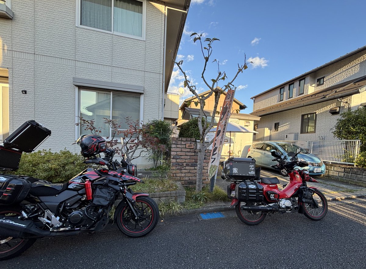 めぐみん🐈 on X