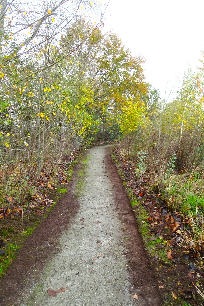 In between the rain showers, it is a beautiful autumn day