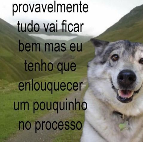 memes_horriveis's tweet image. 