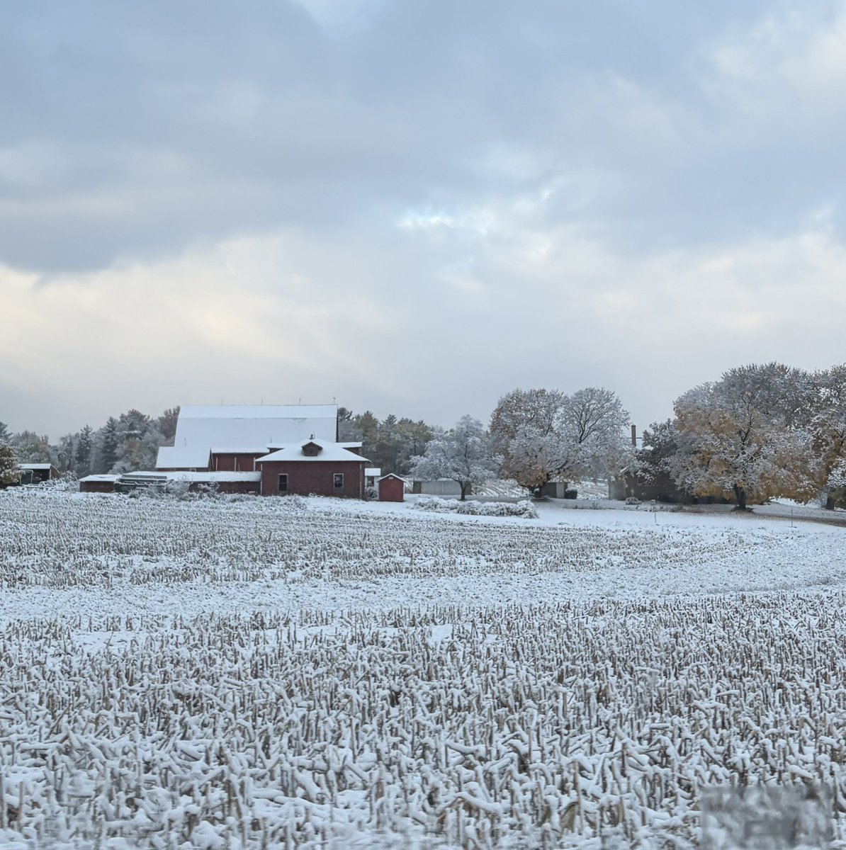 desolangels's tweet image. 