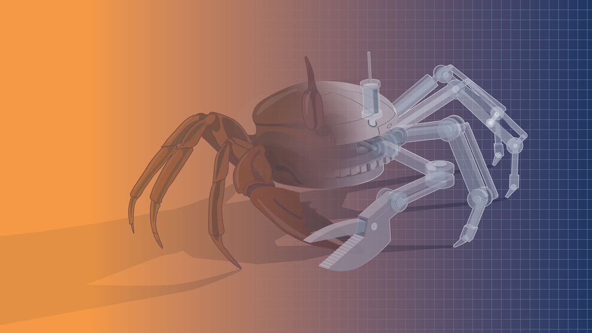 natrevbioeng's tweet image. Nature has spent billions of years perfecting solutions to complex problems. Bioinspired engineering taps into these strategies to build adaptive, efficient and sustainable technology, from robotics to medical devices: nature.com/articles/s4422…