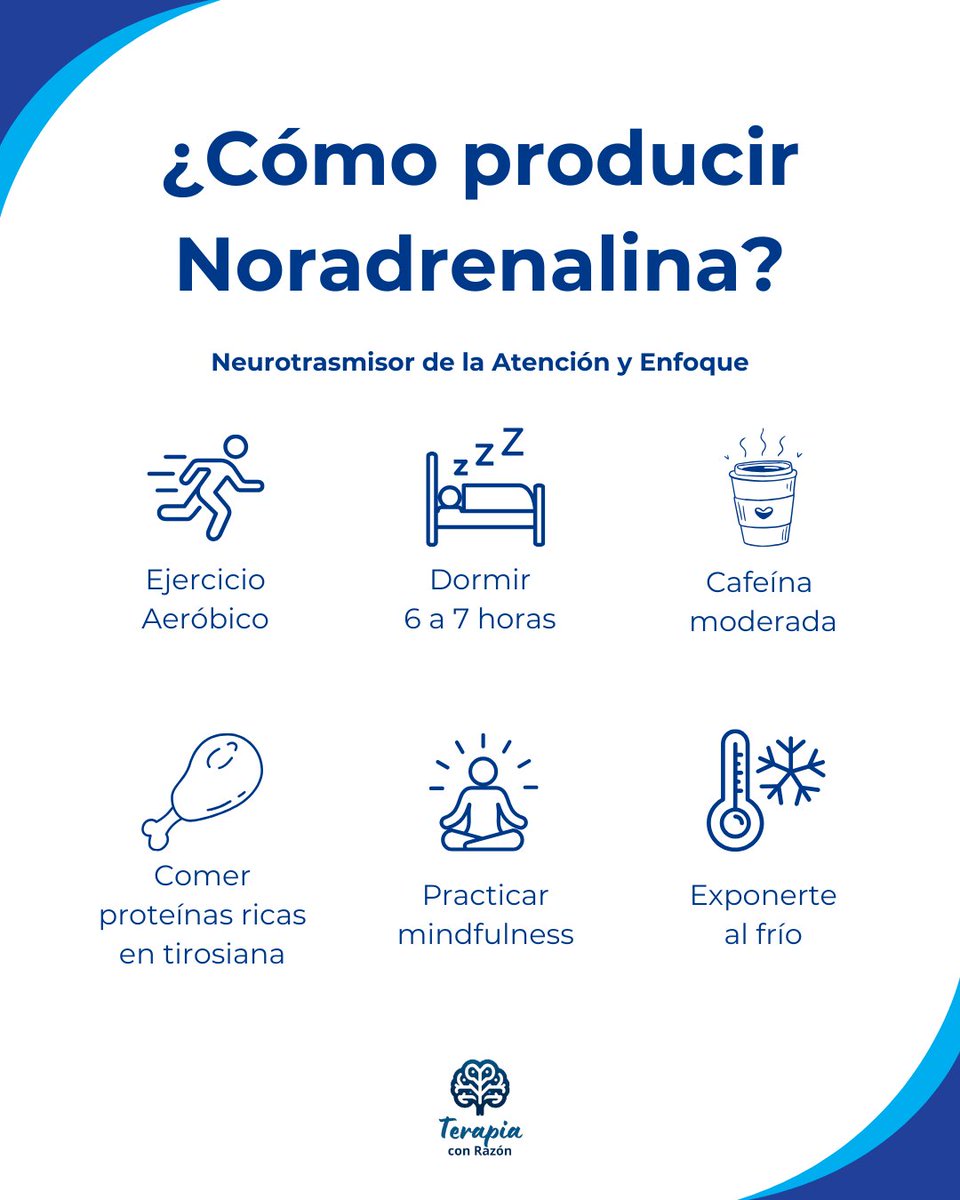 terapiaconrazon's tweet photo. 🎯Noradrenalina: La alerta y el enfoque🧠

Un neurotransmisor y hormona que activa la respuesta de "lucha o huida" y mantiene la vigilia.

▶️Función: Regula la atención, el arousal, la memoria y la motivación. Nos ayuda a concentrarnos y responder al estrés de manera adaptativa. 

🧠Efectos: Su liberación genera energía y claridad mental. En exceso, puede causar hiperactividad o ansiedad; en déficit, fatiga, apatía o depresión.   

⚖️Equilibrio es la clave: Incorpora estas 6 actividades diarias para elevar tu noradrenalina de forma natural, priorizando acciones que potencien la concentración sin agotarte. Estas prácticas no solo activan el neurotransmisor, sino que te ayudan a canalizar la energía hacia metas productivas y un flujo mental óptimo: