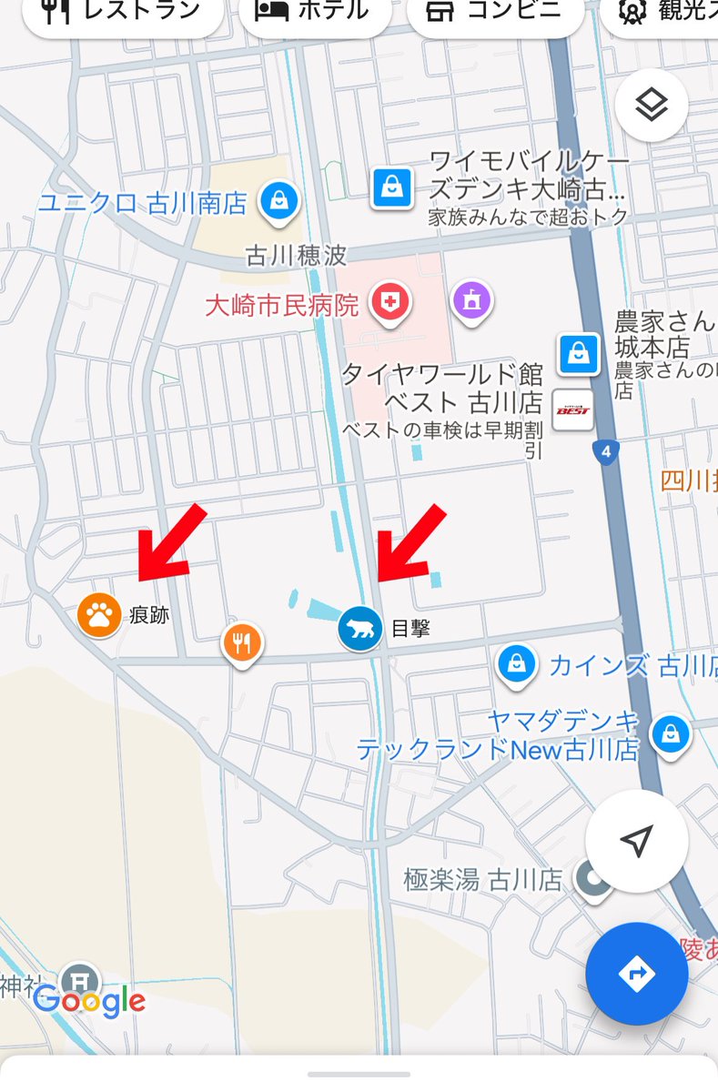 wady_fishing's tweet photo. @FIRE16082620 毎日出まくってます！🐻
なんなら街中にも出てます😱 https://t.co/qPL15DyrG3