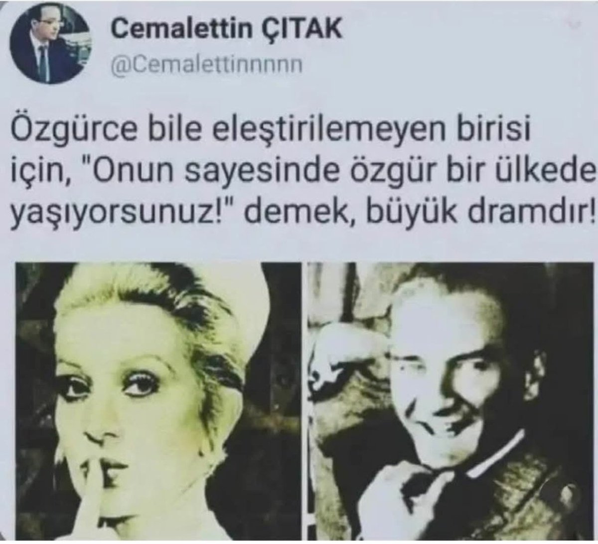 Bu tweetin alnından öpüyorum...
