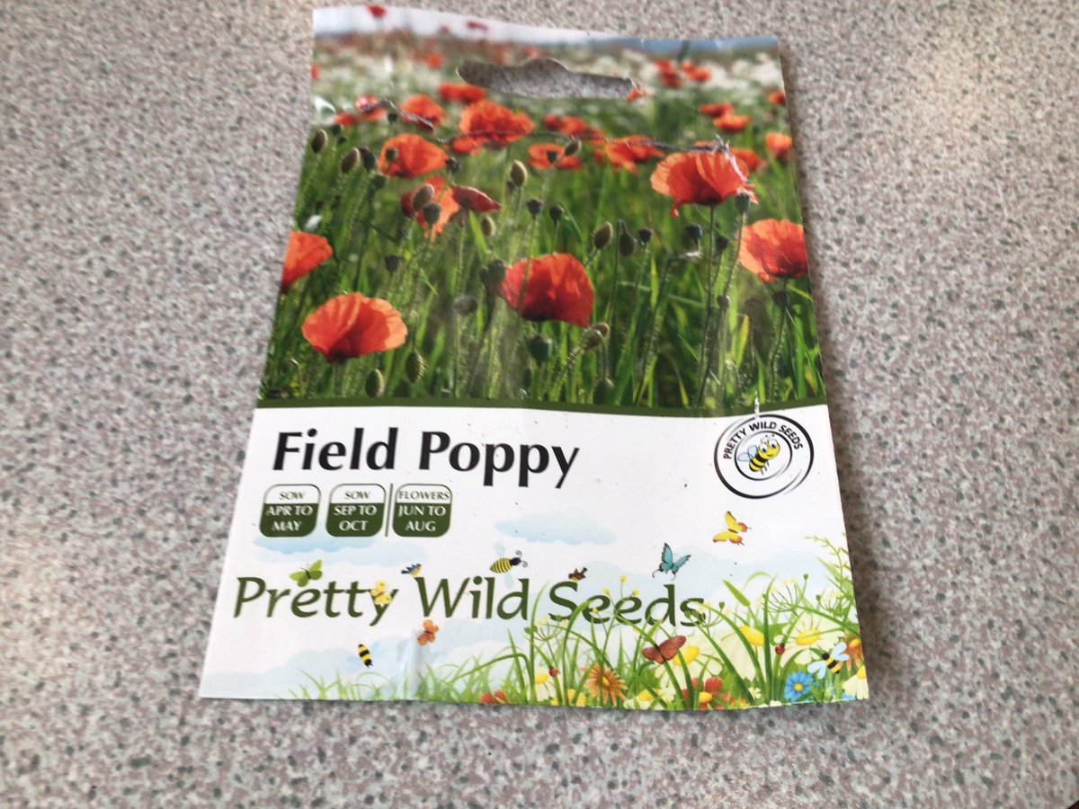 Newcastle_Acad's tweet image. 🌺 Our Eco-Dot pupils made poppy seed balls for Remembrance Week — honouring those who served and celebrating nature’s resilience. ❤️ #Remembrance #EcoDots #LearningForLife