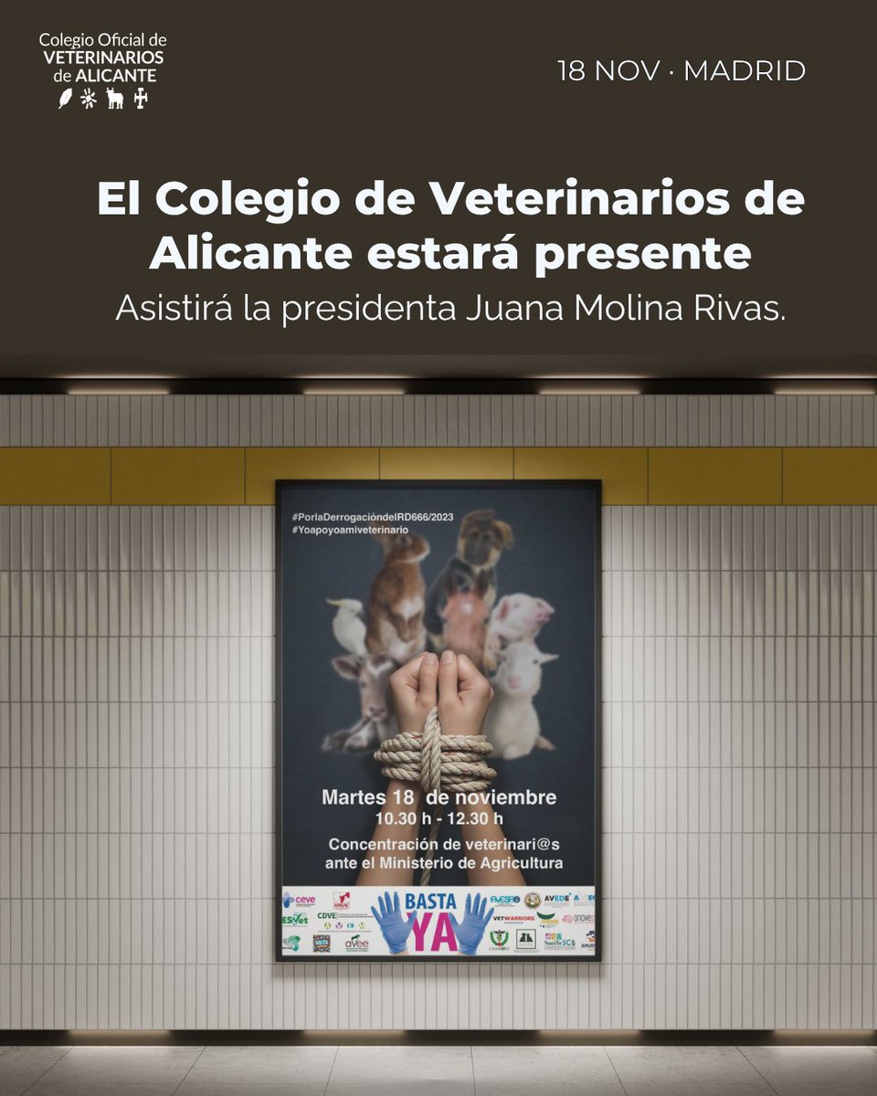 ColegioVet.Alicante tweet media