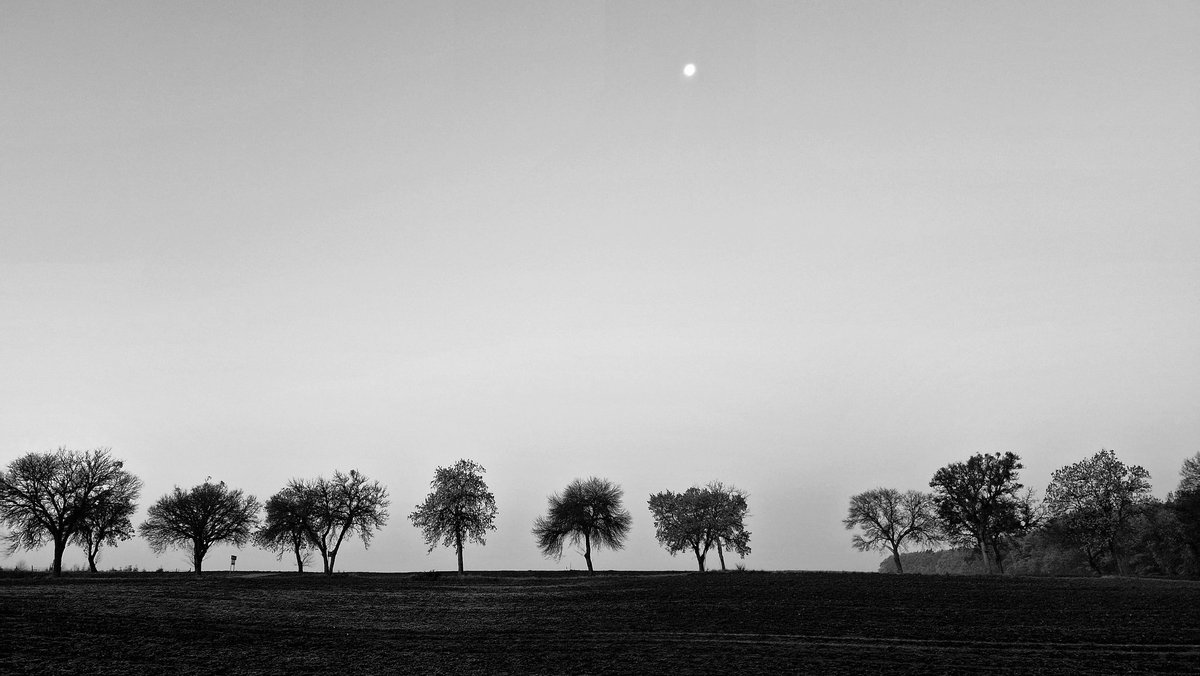 GoodUnknowledge's tweet photo. #blackandwhitephotography #SmartphonePhotography https://t.co/XbLbtq58OJ