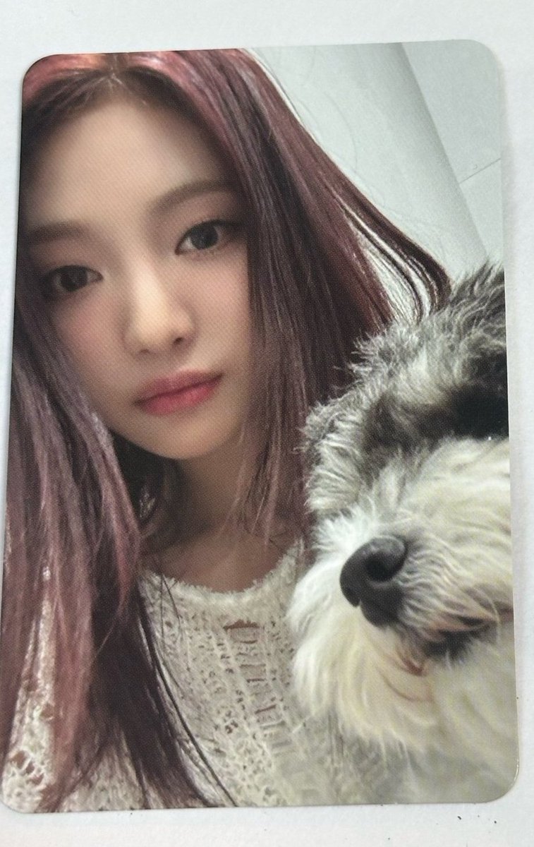 MiouriCartz's tweet photo. wts lfb aespa ningning pc ph

- 2 months dop w/ 30 or 40 percentage nrdp
- prio payo 
- free sf for payo taker
- mint condition 
- onhand 
- x sensi, rush &amp; sensitive 

# aespa ningning armageddon broadcast photocard  에스파 포카 양도 공방포카

#ตลาดนัดaespa #ตลาดนัดเอสป้า https://t.co/WG9Ea0iZ0h