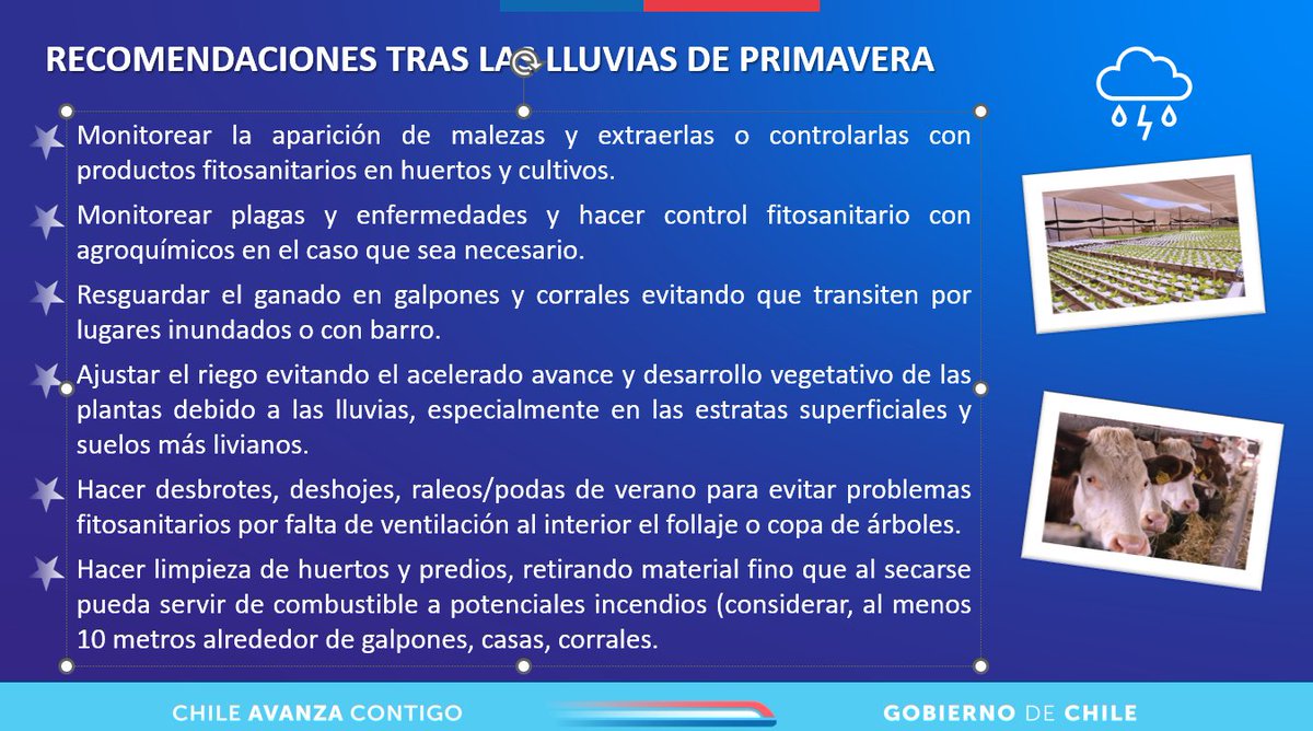 Acaba de terminar una semana con calor, lluvias y diferentes temperaturas ¿Qué le depara al agro estos días? Léalo en el Semanario de la UGRA del <a href="/MinagriCL/">Ministerio de Agricultura de Chile 🇨🇱</a> <a href="/Sub_Agricultura/">Subsecretaría de Agricultura</a> <a href="/INDAP_Chile/">INDAP_Chile</a> <a href="/Agromet_RAN/">Agromet</a>