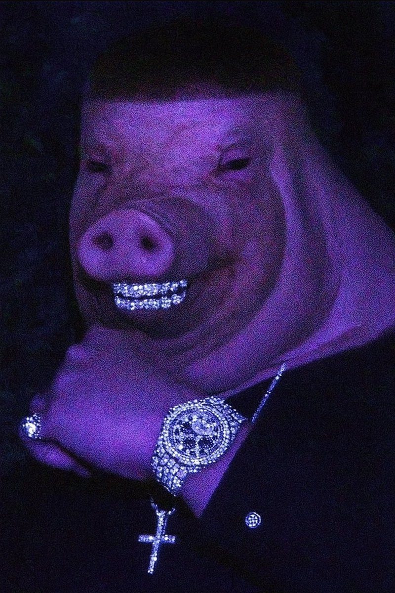 king kulbik tweet media