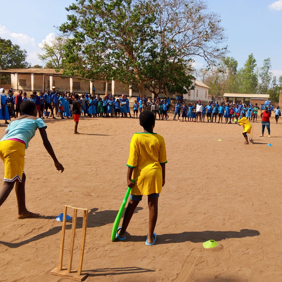 The Cricket Academy tweet media