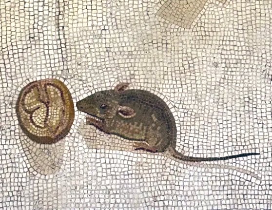 Delightful detail from the Roman “unswept floor” mosaic by Heraclitus, showing a mouse nibbling a walnut.

Superb use of darker tiles for subtle shadow effect! 

2nd century AD. Vatican Museums museivaticani.va/content/museiv…

#MosaicMonday
#Archaeology