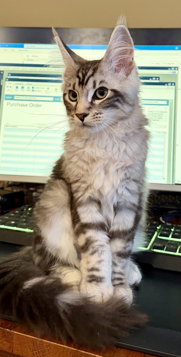 Natty’s first day at work.