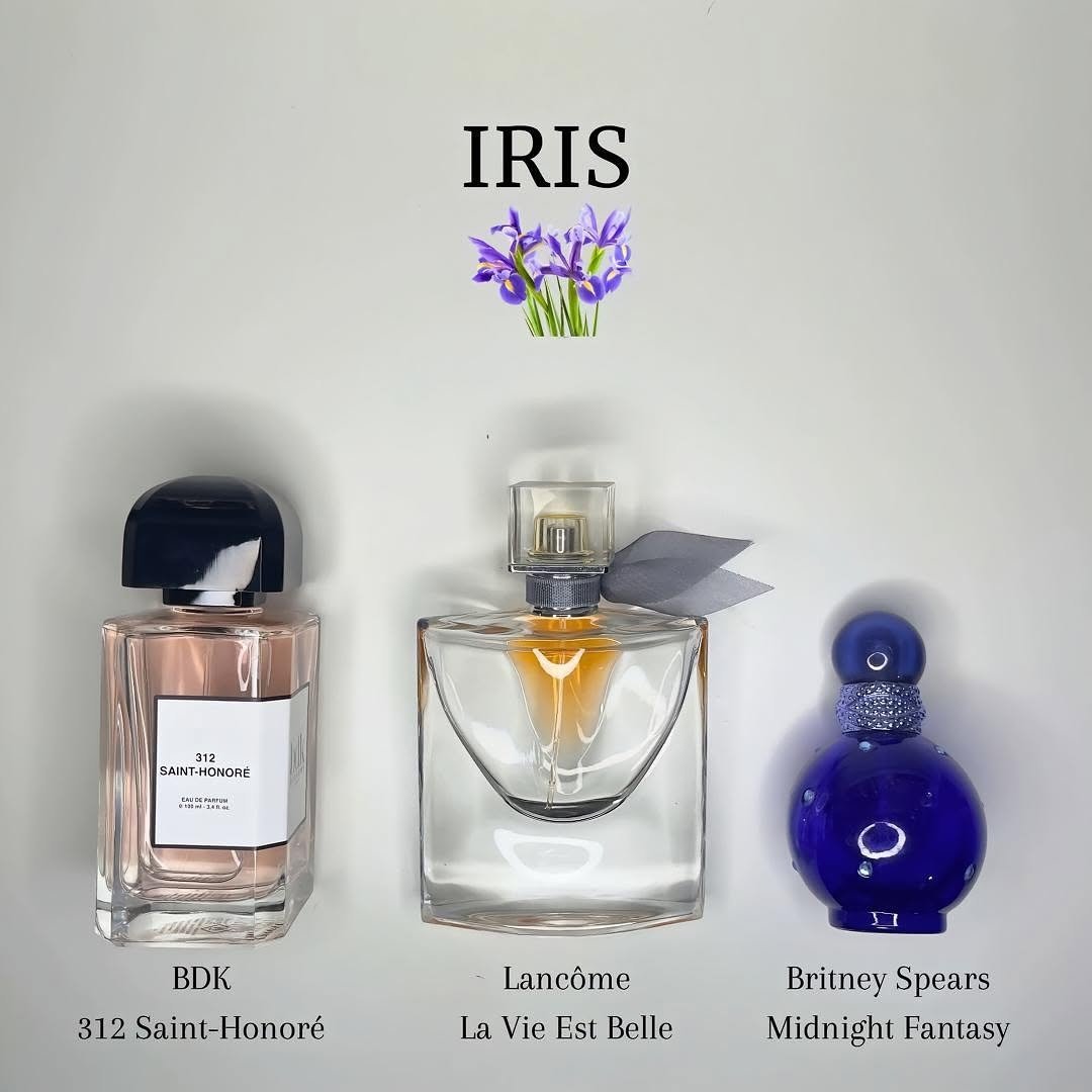 NseIkpe3's tweet image. 