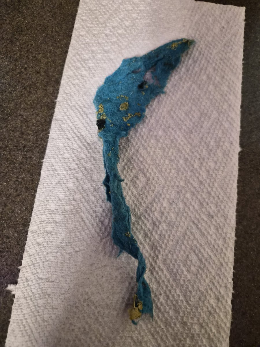 Mom is on her soap box.... To all people who go to dog parks. Please, if your dog destroys a tennis ball, throw it out so the next dog coming along doesn't eat it accidentally and then get it lodged in its stomach. Thank you