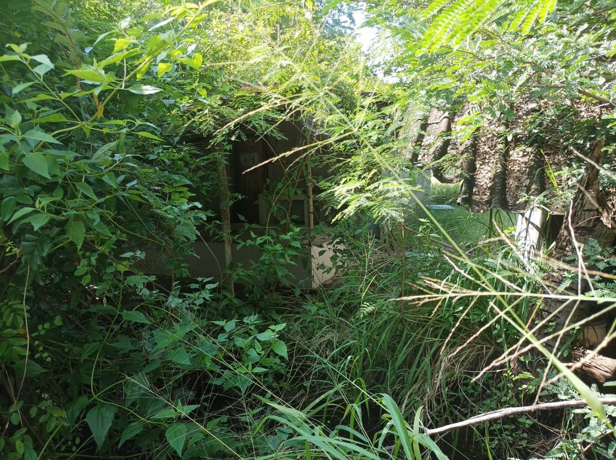 LodeCha's tweet image. คืนนี้มีสาวๆคนไหนว่างไหมครับ
#โคราช #ในเมือง