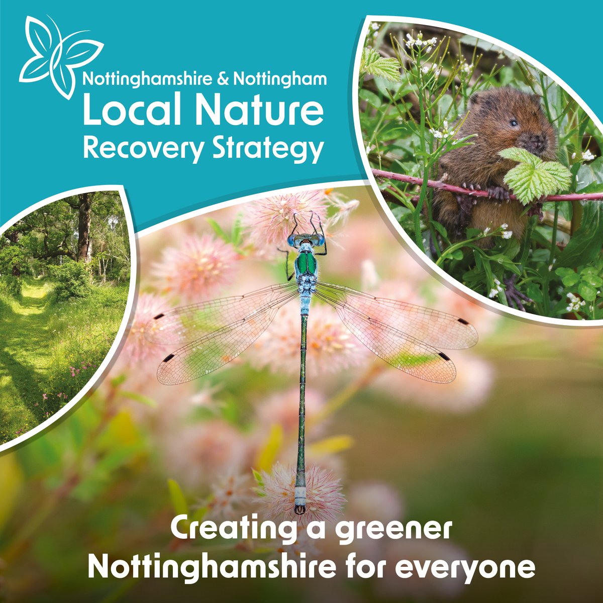 🌿 We’ve created a local nature recovery strategy (LNRS) for Notts. It will help people, groups and organisations from various sectors across the county to meet local and national objectives for nature, biodiversity and the wider environment.

Read more 👉 orlo.uk/LNRS_4zMO4