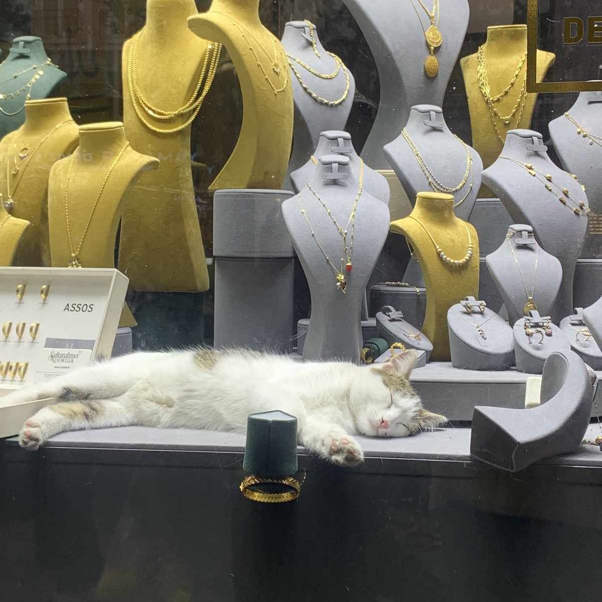 y00things's tweet image. pake penglaris nih tokonyaa