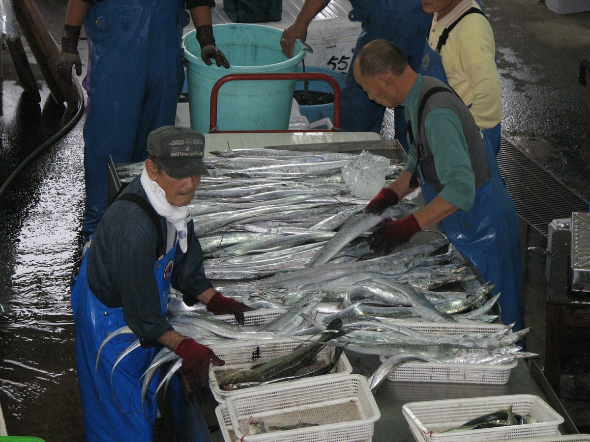 CCRN_news's tweet photo. Historically, fisheries focused on fish and fishing fleets, excluding fishery participants from the discussions.

The interdisciplinary approach now examines fishery systems, involving fishers and fishworkers. See Chapter 4 of Sustainable Fishery Systems.

https://t.co/CecSeJvHF3 https://t.co/jMK934eynY