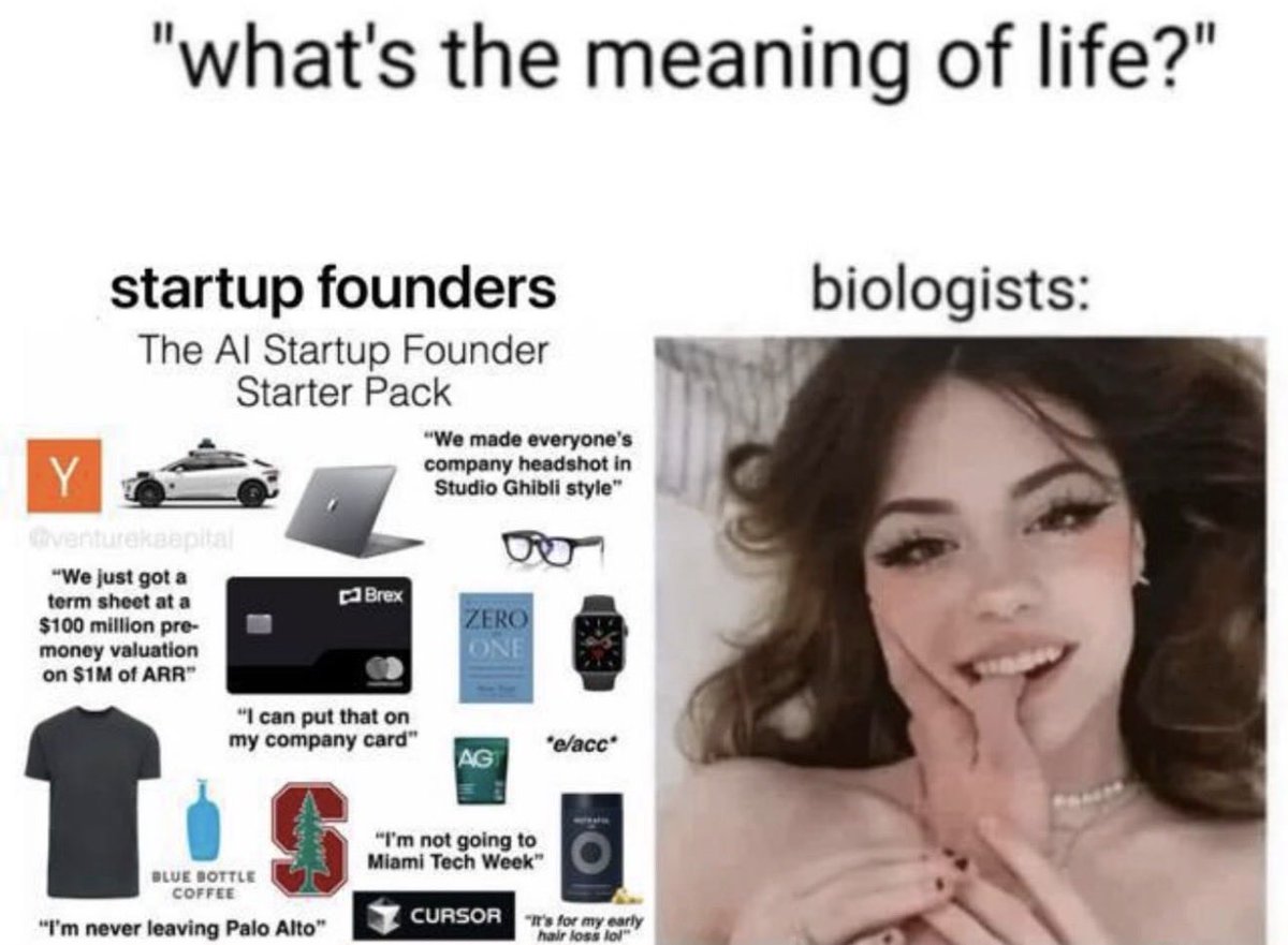 Have you applied to YC yet my friend?