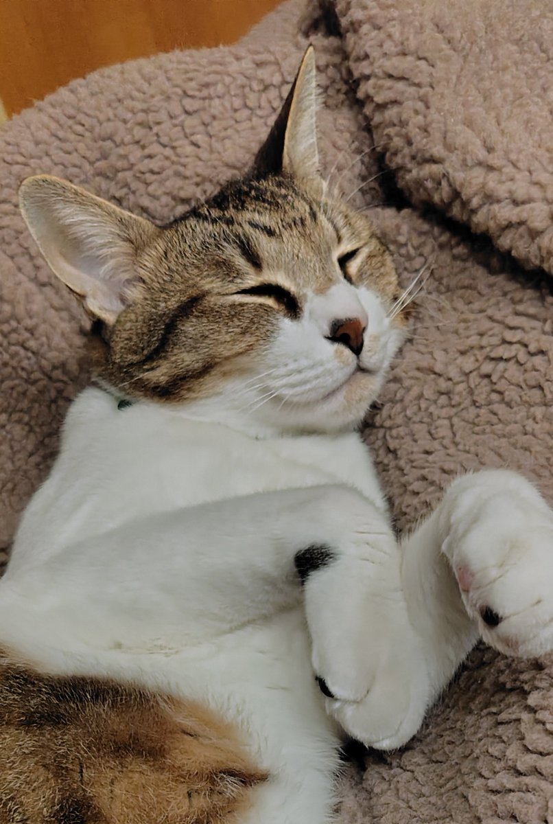 もときち (@maguro20190622) / Posts / X