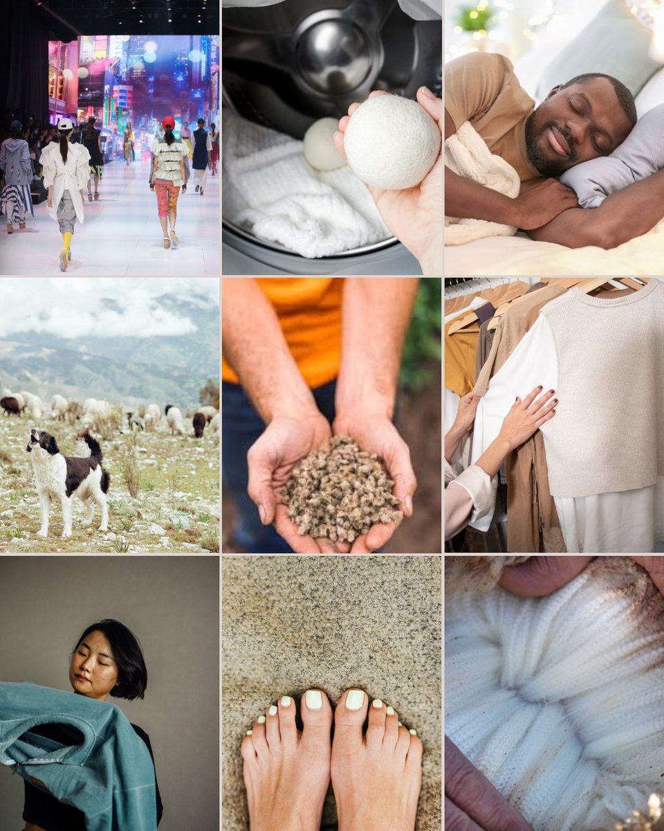 Wool does more than keep you warm, it enriches your soil, calms your sleep, elevates your wardrobe, and supports local ranchers along the way. Explore all the ways American wool fits into your life: americanwool.org

#experiencewool 
#americanwool