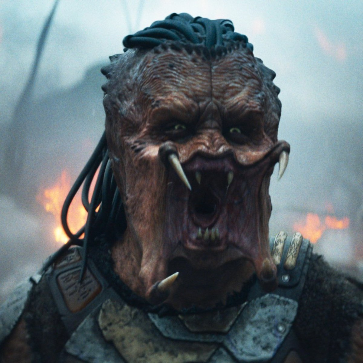 #PredatorBadlands director Dan Trachtenberg explains why James Cameron is thanked in the credits:

"He had seen 'Prey' and loved it — which, there's no words for that. We shot 'Badlands' in New Zealand, up in Auckland and he was down in Wellington making 'Avatar.' He invited me