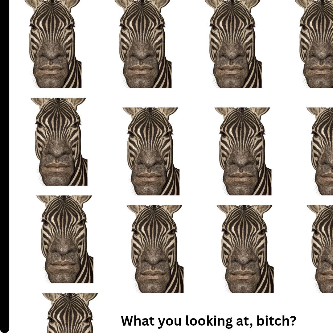 You saw what happens with $pigger right? A lot of people including myself missed out and faded. Now the same artist that created $pigger also created $ZIGGER 

With SOL also bouncing, trump announcing $2000 stimmy cheques…massive crypto rally incoming! 

Best time to load up on