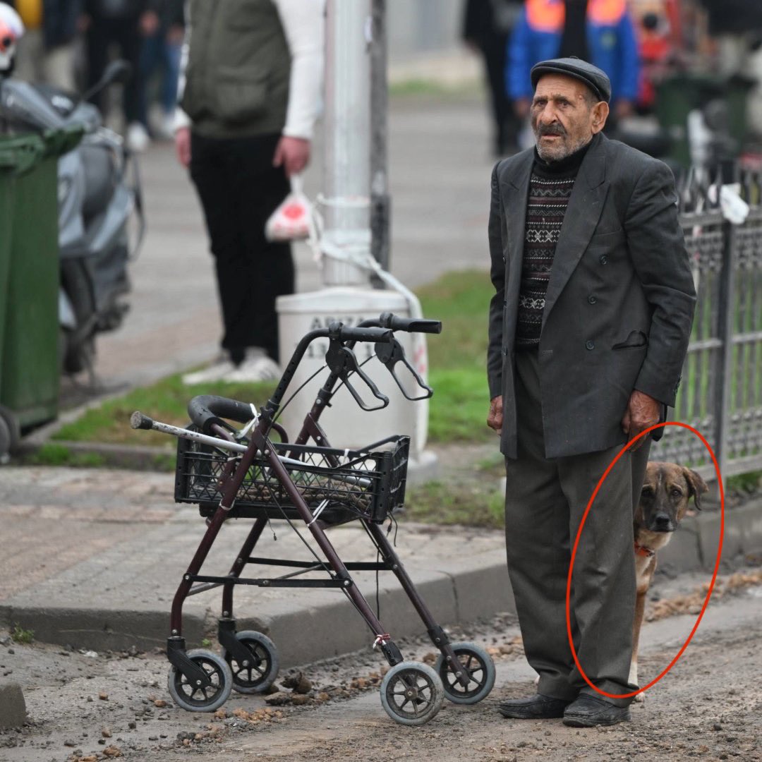 Yürümekte zorlanan bir Abimiz, saat 9’u 5 geçiyor ve bırakmış yürütecini dimdik saygı duruşunda.
Ya arkasındaki Can!
Rabbim yobazlardan alsın, senin canına katsın!
#10Kasım