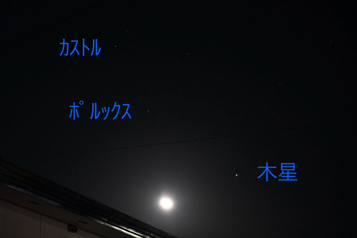 ガリレオ坂ｂ Bちゃん on X