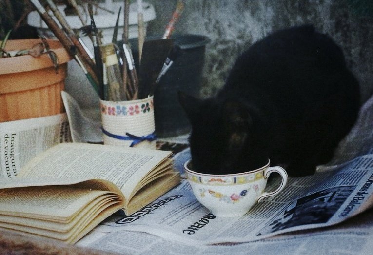 mong_cherry's tweet image. 📚📖🖋- archive.*･ﾟﾟ･*:.｡..｡.:*ﾟ:*:✼✿