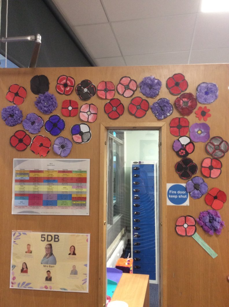 Year 5 are ready for Remembrance Day tomorrow. After a fantastic assembly by our very own Mr Swift and then a PSHE lesson to follow, we created our own poppy display using the different colour poppies that you can wear.