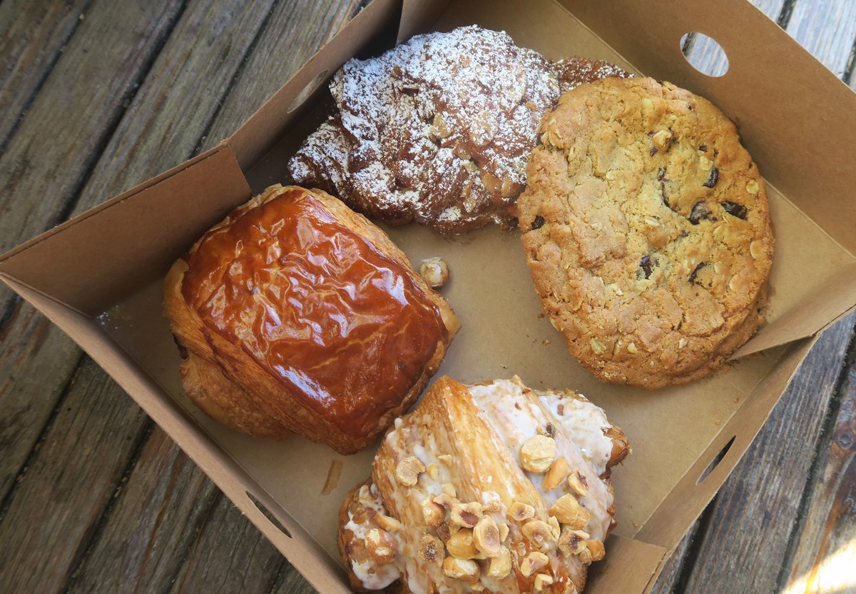 found these in the forest