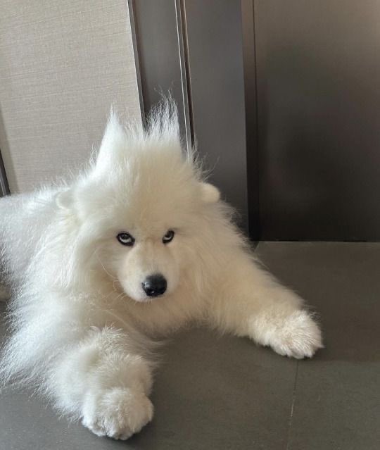 twaniimals's tweet photo. https://t.co/fYgsF9rOfn