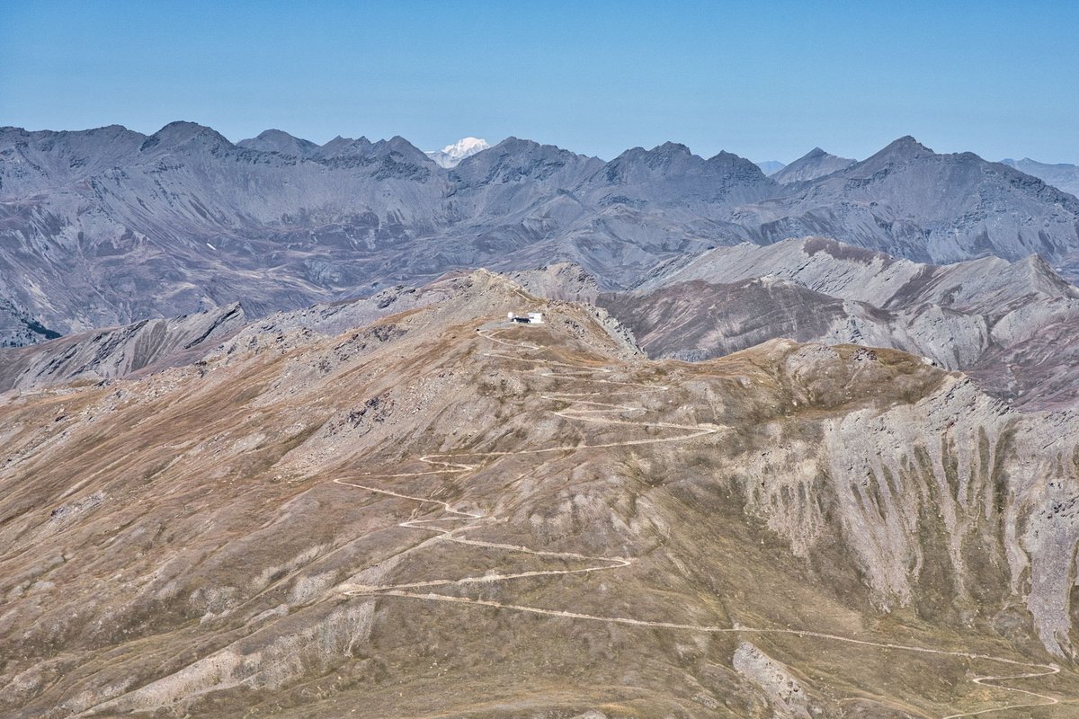 Franck Rando tweet media