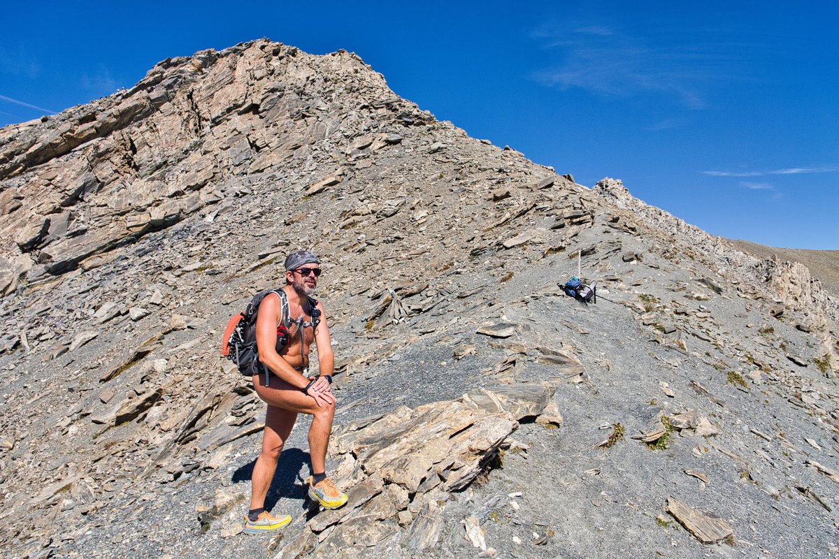 Franck Rando tweet media