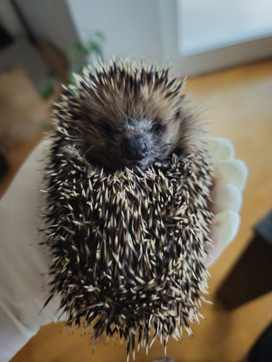 𝐤𝐥𝐢𝐦𝐟𝐲 tweet media