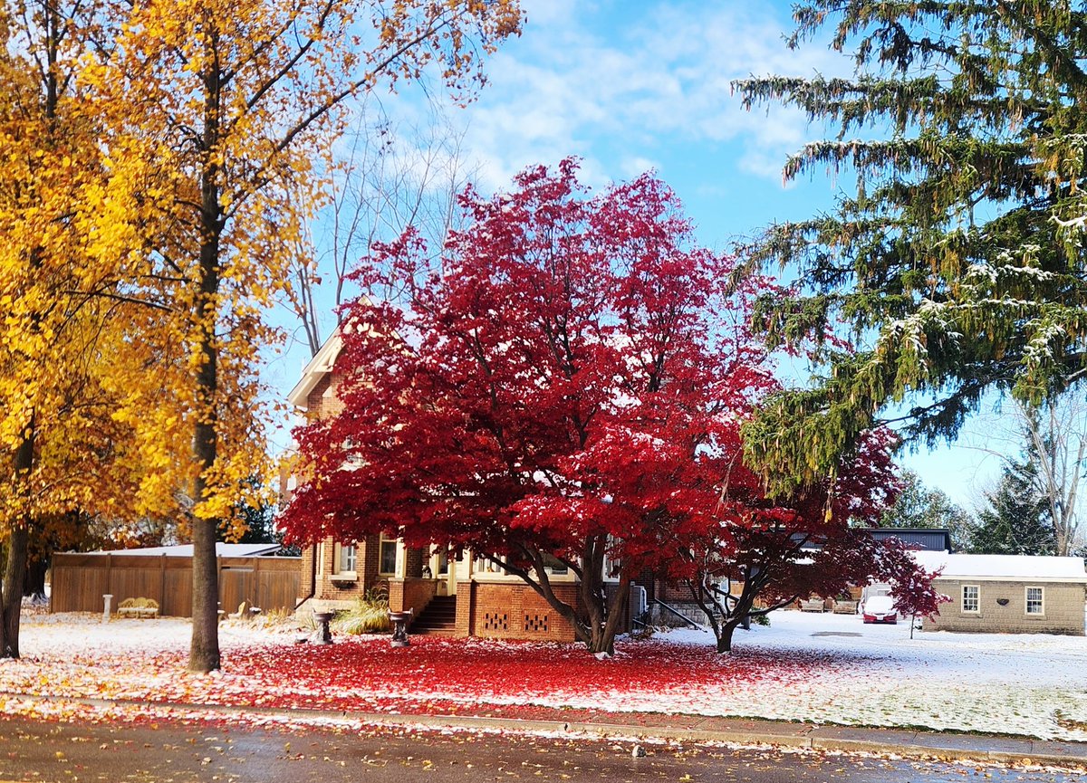 I took a picture of this scene in town this morning. It has a really Canadian feel to it