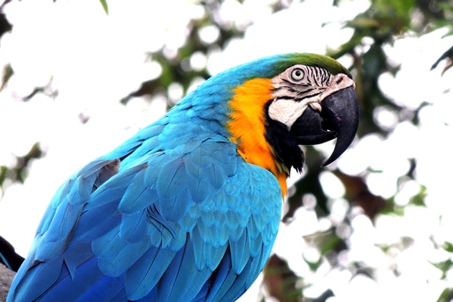 pnc_hoot_sparky's tweet image. Send multi-network with all tags hootsuite.com 🕌 #Test_Automation 730