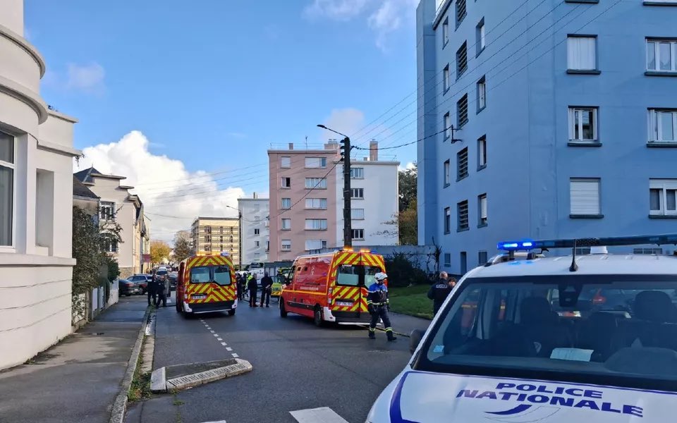 Cerfia tweet media