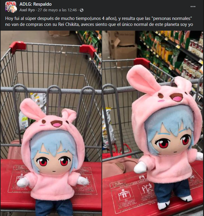 Otakus Del Dia a Dia tweet media