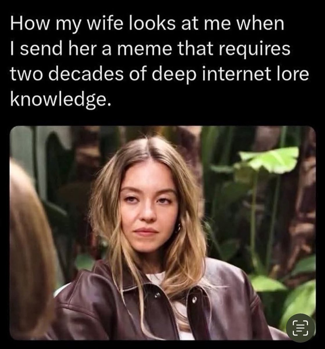 Caleb Starr tweet media