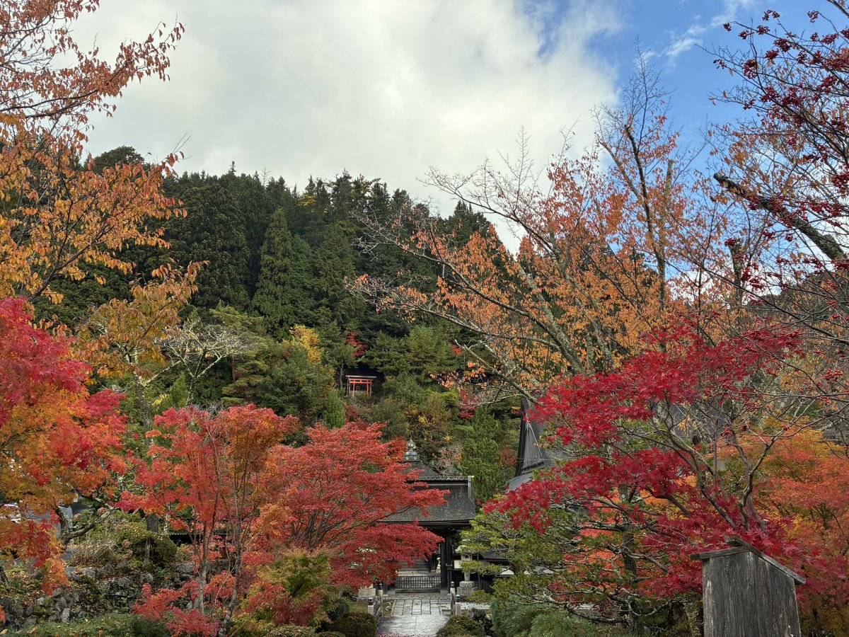 omoinomamani55's tweet photo. 今日は紅葉狩り

めっちゃ綺麗に色づいてた🍁

疲れた心も癒されたかな… https://t.co/hHKVccLeVf