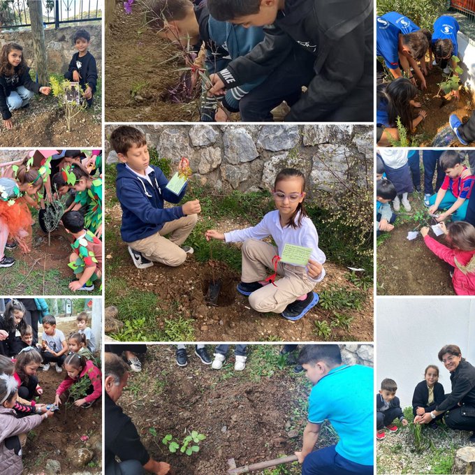 Collage of multiple photos showing groups of children and adults in casual and school uniforms planting small green saplings into soil in outdoor garden areas with some wearing green hats and holding cards others digging holes with shovels near stone walls and fences under sunny skies with plants and trees in background.